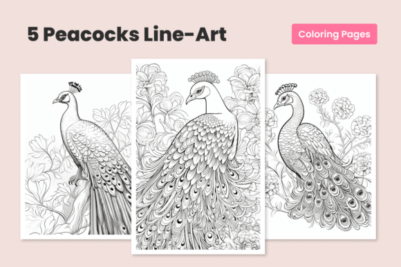 Download Peacock Bundle Coloring Pages for Adults - Coloring pages Collection